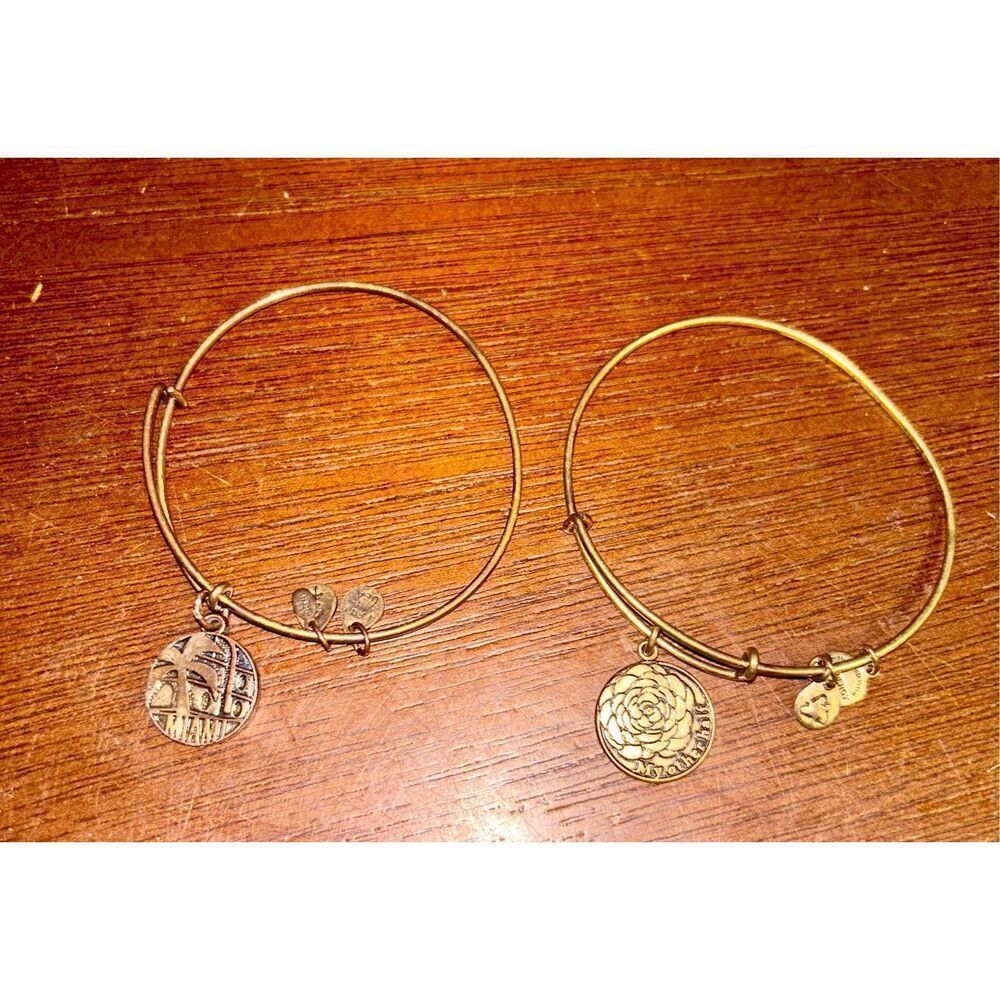 Set of 2 Alexi and Ani bracelets